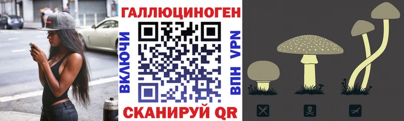Галлюциногенные грибы GOLDEN TEACHER  это наркотические препараты  Железногорск-Илимский  магазин продажи наркотиков  omg как войти 